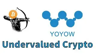 Undervalued Cryptocurrency of December 2017 - YOYOW - Hunting The Coins