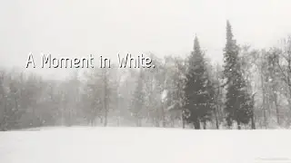 A Moment in White.