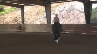 Xandria - Lusitano Dressage mare for Sale