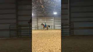 Guess who&rsquo;s backkk!!😝 #equestrian #lhra #horsey #love #horseriding #riding #horsegirl #horse #pony