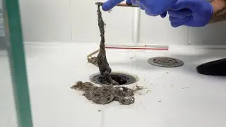 How to unclog and clean your shower drain easily