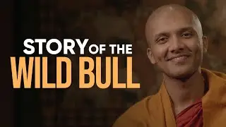 How to Discipline Your Thoughts... | Buddhism In English
