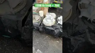 Bangla Fish | Fresh Fish | Bhaucha Dhakka | Wholesale Fish Market | Mumbai Fish Market