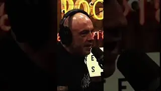 Joe rogans thoughts on removing the octagon in the ufc