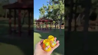Реакция кота на сувенир, который хозяйка везла для него через весь мир😂