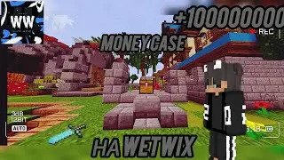Открываю Money Case на WetWix