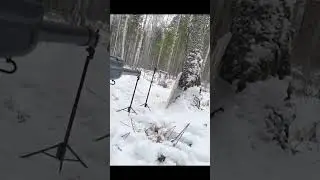 Ружье Сайга 12 -создание картины масляными красками... #обзороружия #gunreviews