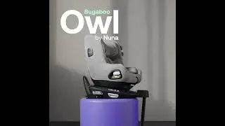 Bugaboo Owl by Nuna Reboarder