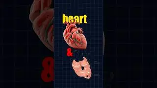 Are you also not training your heart right ? #content #cardioworkout #life #coaching #discipline