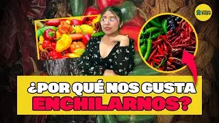 La QU&Iacute;MICA del PICANTE: &iquest;por qu&eacute; nos gusta tanto ENCHILARNOS?