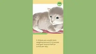 How To Tell How Old Kitten Is