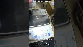 Золото или нет ⛔ Метод Гидростатика
