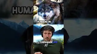 Why WOLVES Don't HUNT and ATTACK Humans | JRE  #joerogan #jre #animalshorts
