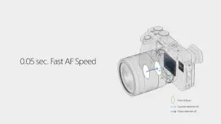 SONY a6500 AF SYSTEM