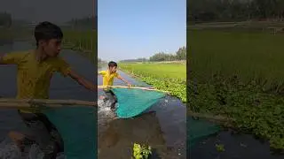 Rural Fishing Life | Peaceful Village Nature #handfish