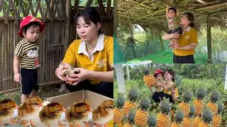 Я пошла в лес собирать ананасы на продажу и покупать первых цыплят для нашей новой жизни.