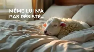 Impossible de r&eacute;sister au confort Villat Meubles &ndash; Campagne de pub