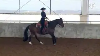Equestrian: Highlights | A&M 13, South Carolina 6