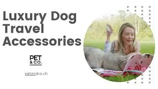 Luxury Dog Travel Accessories Online in Switzerland - Pet & Co.