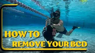 Tips & Tricks For BCD Removal Underwater