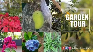 TRIP TO KERALA - GARDEN TOUR | PART - 3 | VLOG | PLANTISHQ.