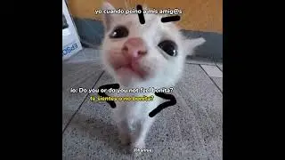 Wonderfull , because you look bonita 😻