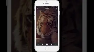 Magic Launcher How to Use App