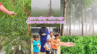অনেকদিন পর বাবার বাড়ি আসলাম / Village Tour . 