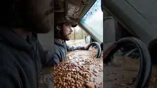 #beansflood #floodedbeans #beanharvest #cropflood #agricultureloss #farm #agriculture #climateimpact