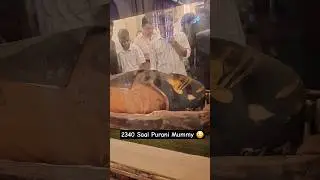 2340 saal purani Mummy 😳 | Albert Hall Museum | Jaipur , Rajasthan #shorts #rajasthan #history