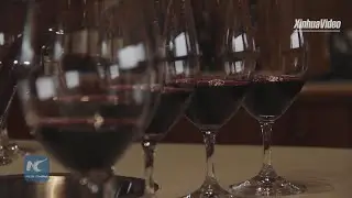 CIIE reinforces preference for Chilean wines among Chinese consumers