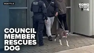 Seattle council member helps rescue dog after alleged abuse in transitional housing