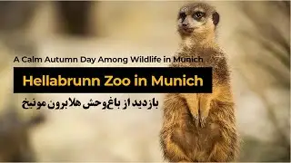 Exploring Hellabrunn Zoo | A Calm Autumn Day Among Wildlife in Munich | بازدید باغ&zwnj;وحش هلابرون مونیخ