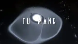 Freya Alley - Tu Mane