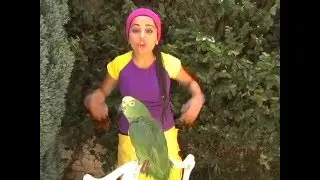El Lorito Nicanor Cantando Aprendo a Hablar
