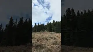James Sabin fire lookout
