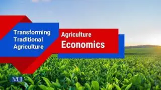 Transforming Traditional Agriculture | Agricultural Economics | ECO608_Topic149