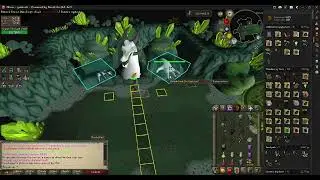 Alora :  COX Guide for Beginners |