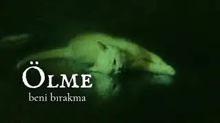 Type O Negative - Bloody Kisses (A Death in the Family) (T&uuml;rk&ccedil;e &Ccedil;eviri)