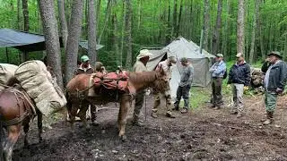 Shavers Fork of the Cheat River - West Virginia Backcountry Expedition with Cool Water Outfitters