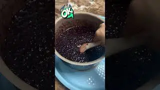 L&agrave;m sữa chua nếp cẩm tại nh&agrave; dẻo s&aacute;nh #sữachua #suachuanepcam