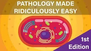 Pathology Made Ridiculously Easy | 1st Edition | Digital Book