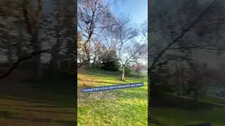 Cherry Blossoms in Central Park have bloomed! [march 2024 update]