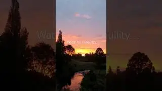 Who else need this? A beautiful riverside accommodation cabin near Auckland NZ
