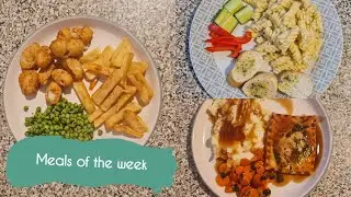 MEALS OF THE WEEK | HONEST FAMILY MEALS | UK MUM OF TWO