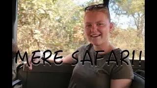 MERE SAFARI!