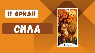 11 Аркан 