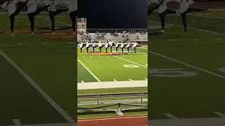 Kemp Stingerettes Alumni Performance 