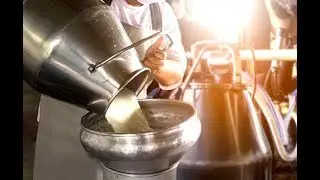 India World's Largest Milk Producer | Unknown Facts