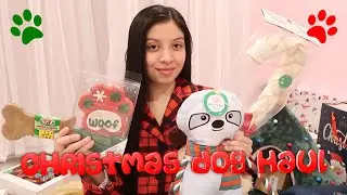 Christmas Dog Haul | $250 Pet Haul | Dog Christmas Gifts| Petsmart